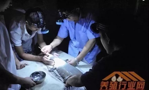 資本試水區塊鏈生物科技+大健康，場(chǎng)景應用時(shí)代已然來(lái)臨！