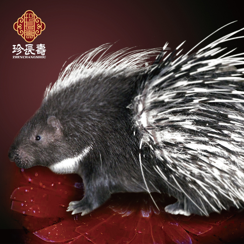 【有機認證】周身是寶，不是豬的“豬”（長(cháng)生淀基地年產(chǎn)量1萬(wàn)頭）